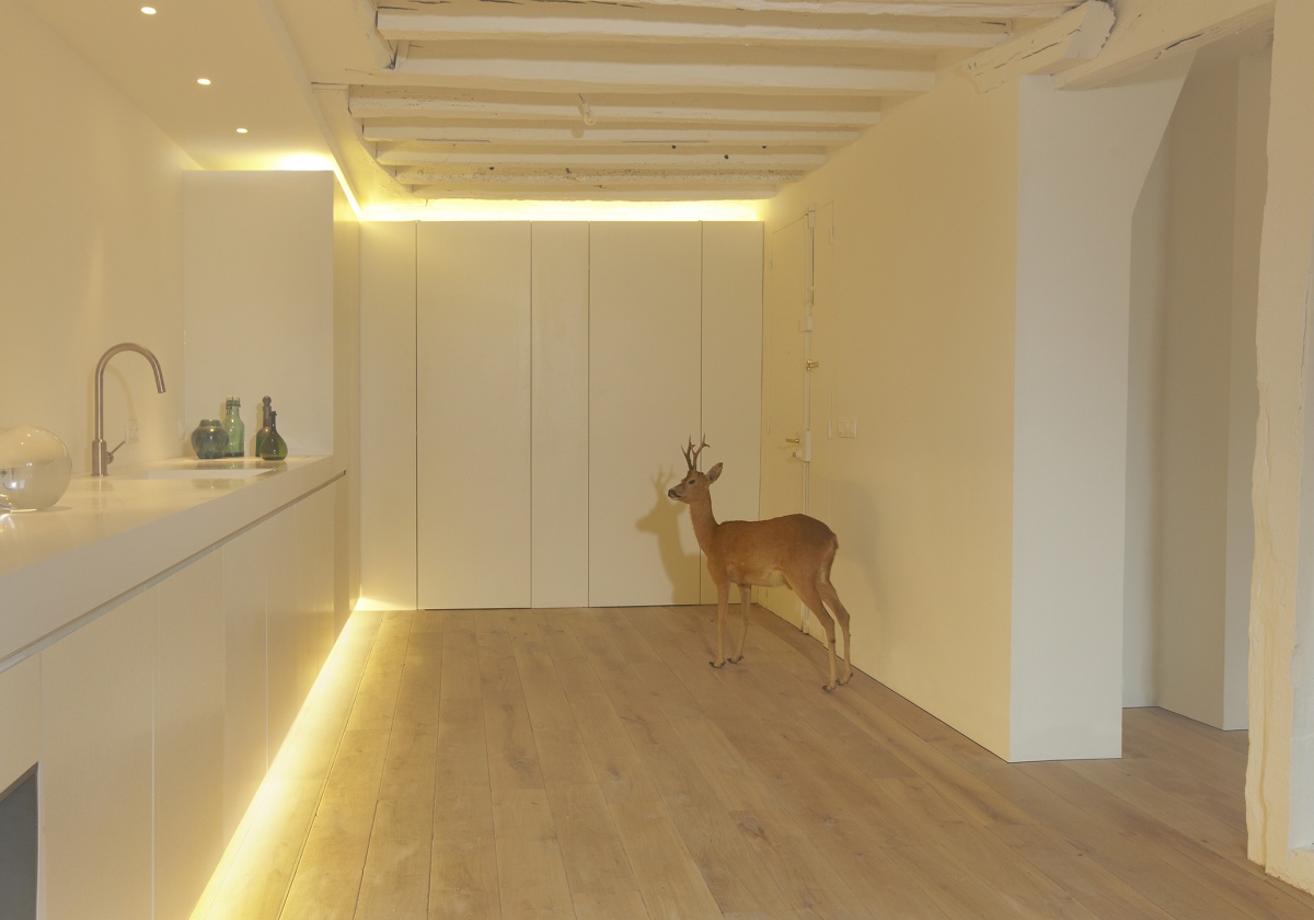 R�habilitation totale d'un appartement Paris 6 : 12