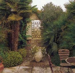 Maison de r�ve � Saint R�my de Provence : 2004-MonJardin8