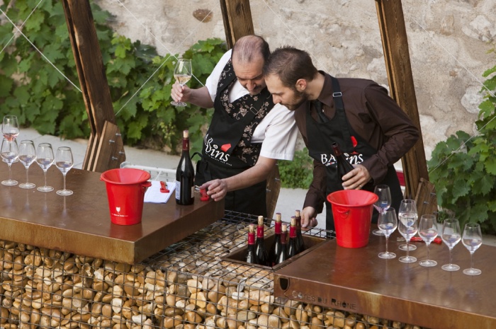 projet Inter Rh�ne : projet_02-04