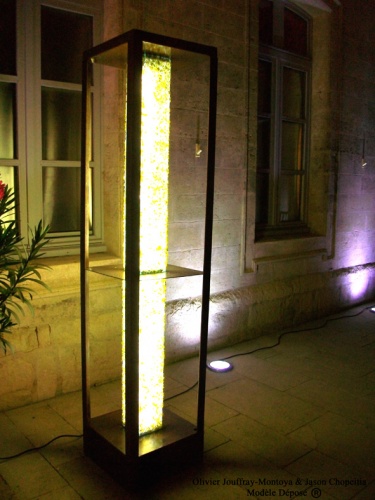 projet Inter Rh�ne : 100_1111 r