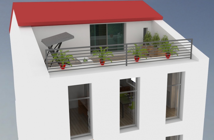 Combles � am�nager : image_projet_mini_38021