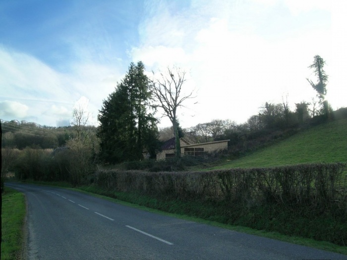 Mutation Forti�re : departementale projet