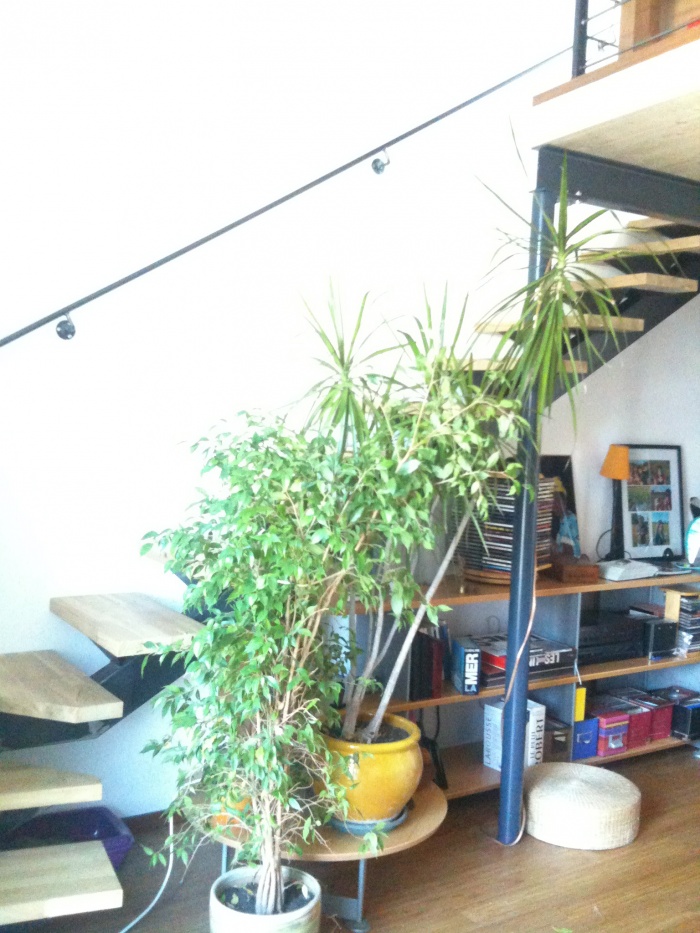R�habilitation Appartement R : Escalier bois/m�tal